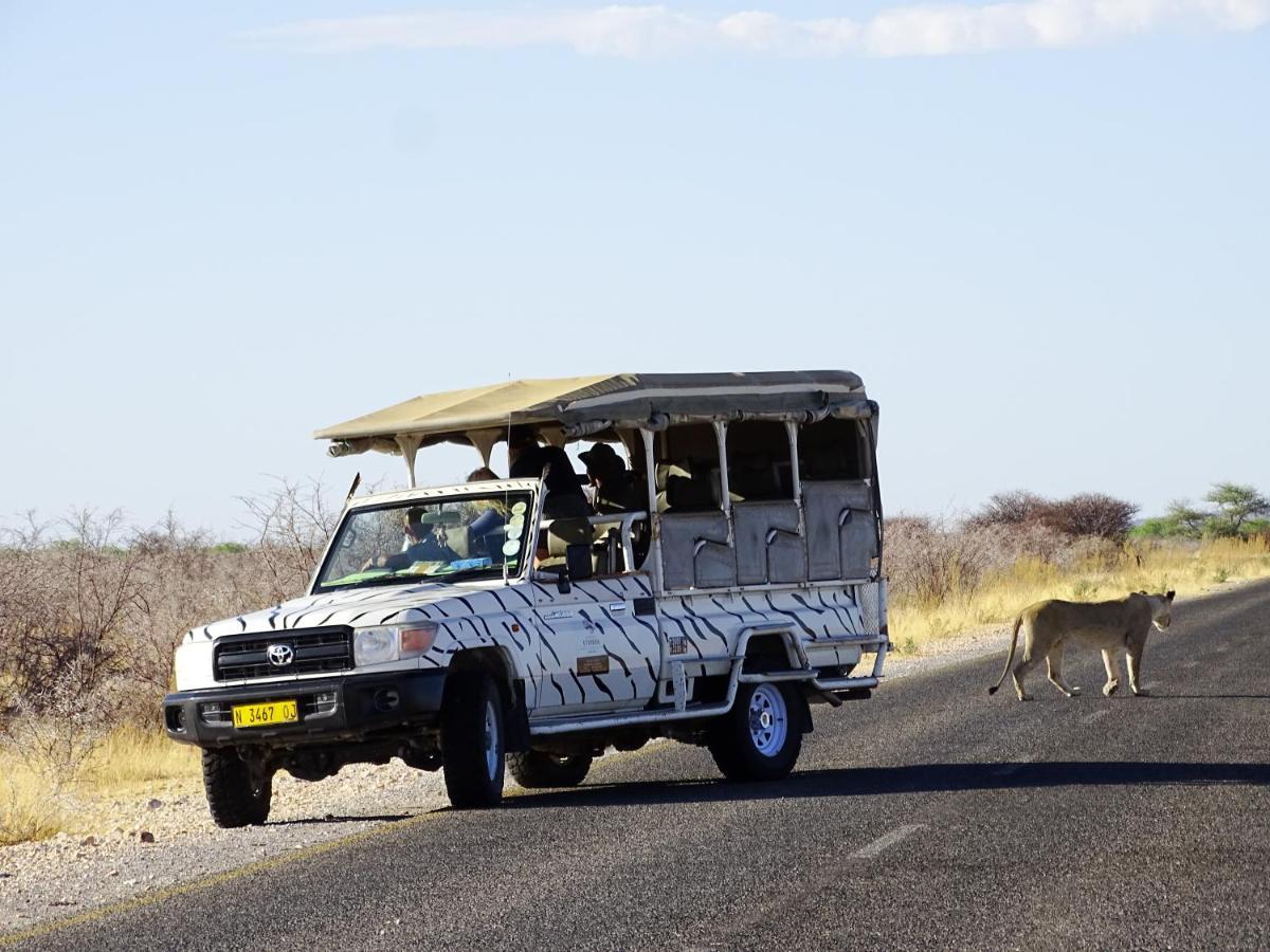 Etosha Safari Camping2Go 奥考奎约 外观 照片